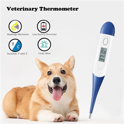 Termometrlar veterinariya